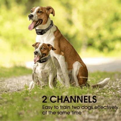 Rechargeable Dog Training Collar LCD Controller