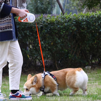 Adjustable Pet Leash With Flashlight Comfort Grip