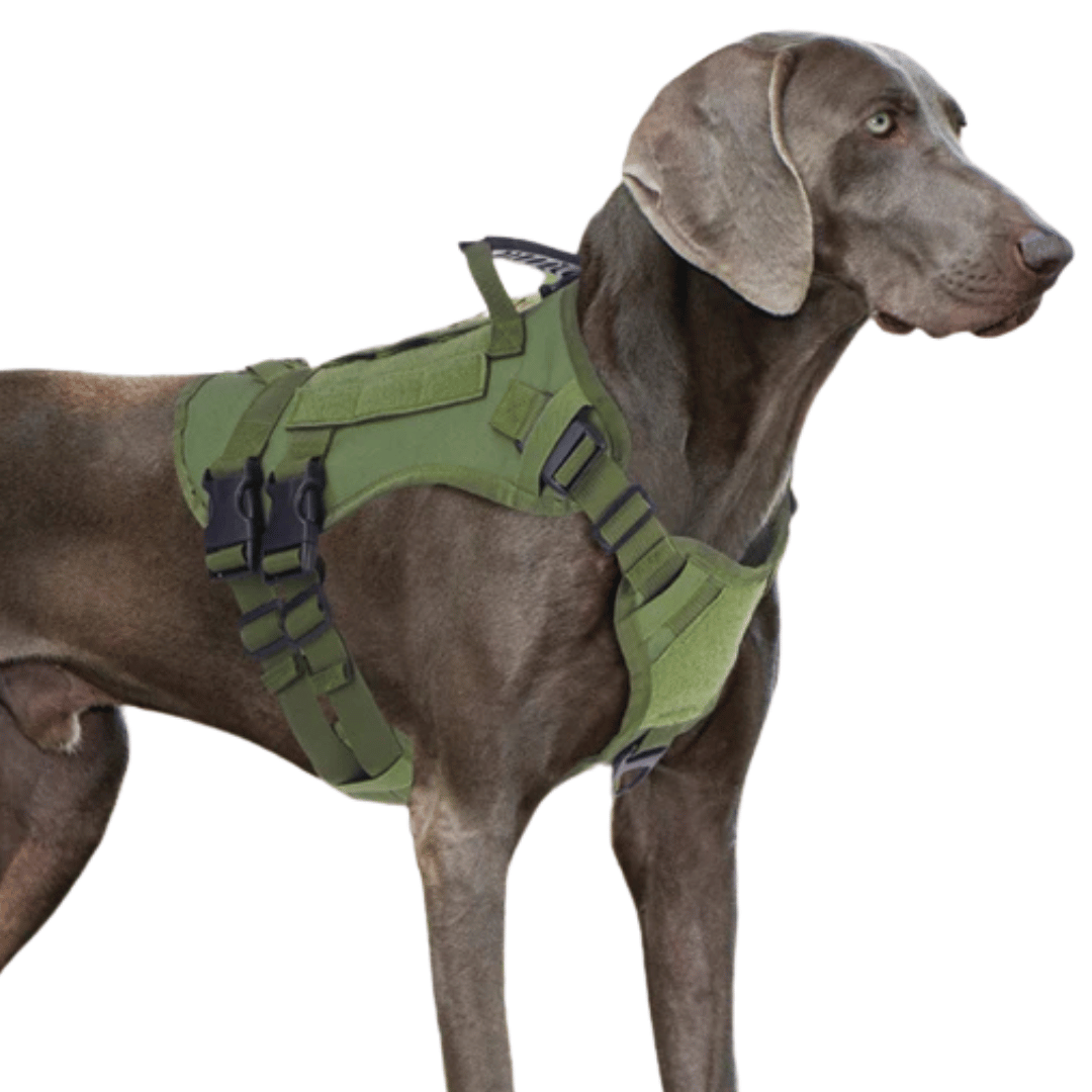 Large Breed Dog Vest With Handle Heavy Duty