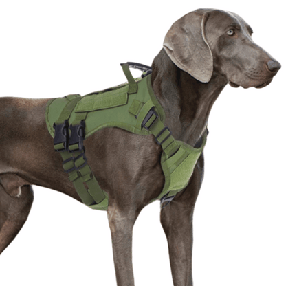 Large Breed Dog Vest With Handle Heavy Duty