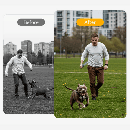 Portable Dog Trainer Ultrasonic Bark Control Flashlight