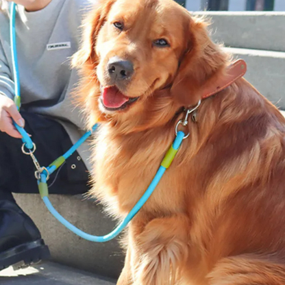 Durable Reflective Dog Leash For Large Breeds Running Walking