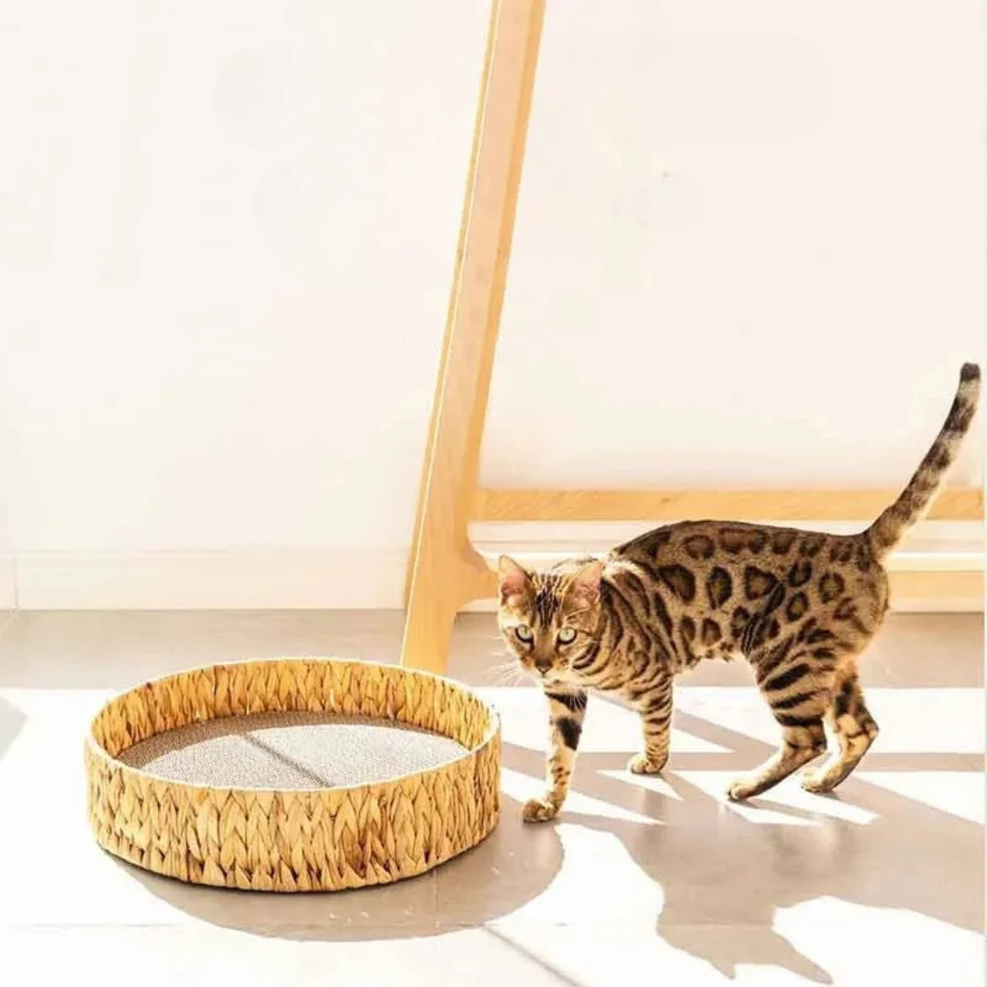 WillowDream Wicker Cat Bed Natural Fiber