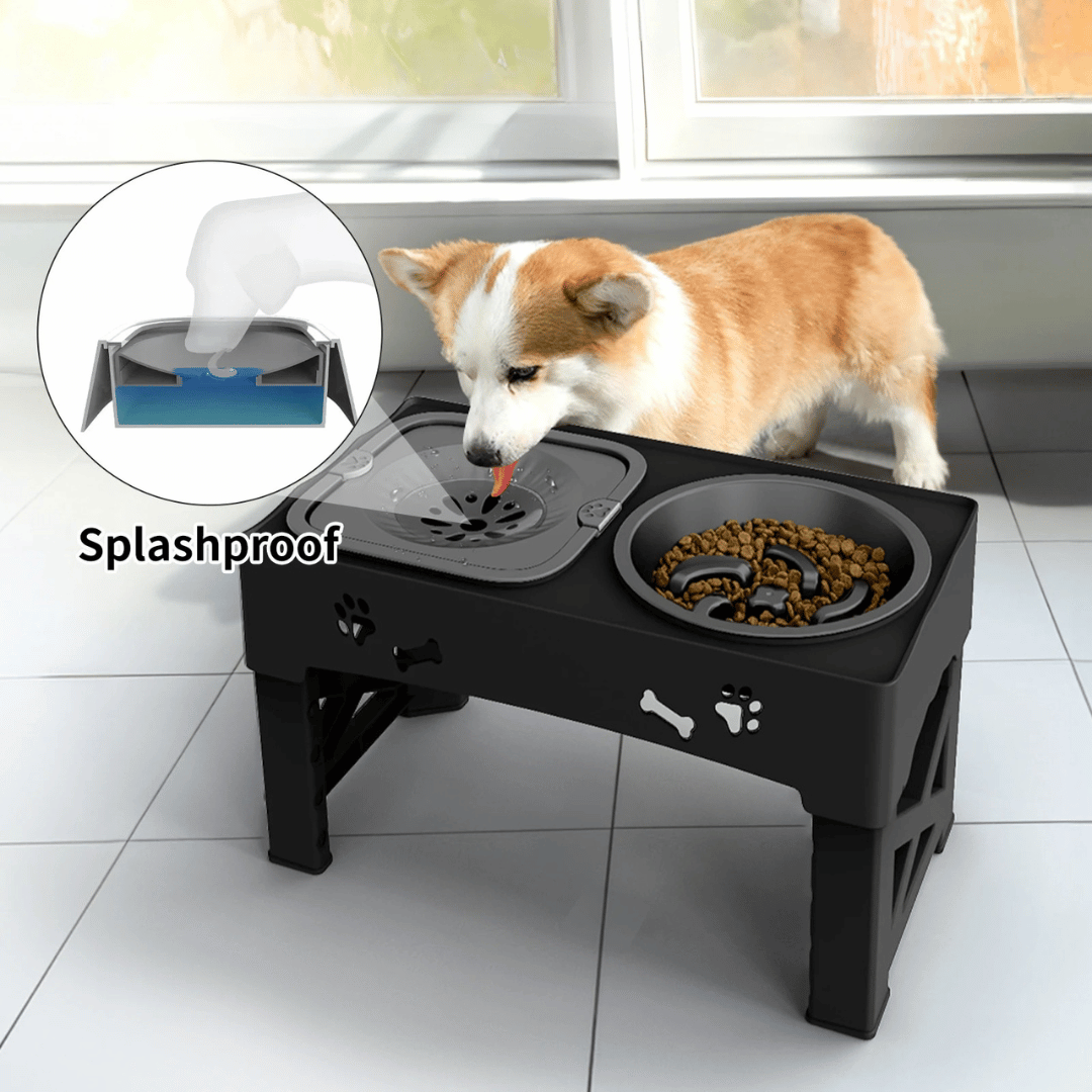 Adjustable Elevated Dog Feeder Stand