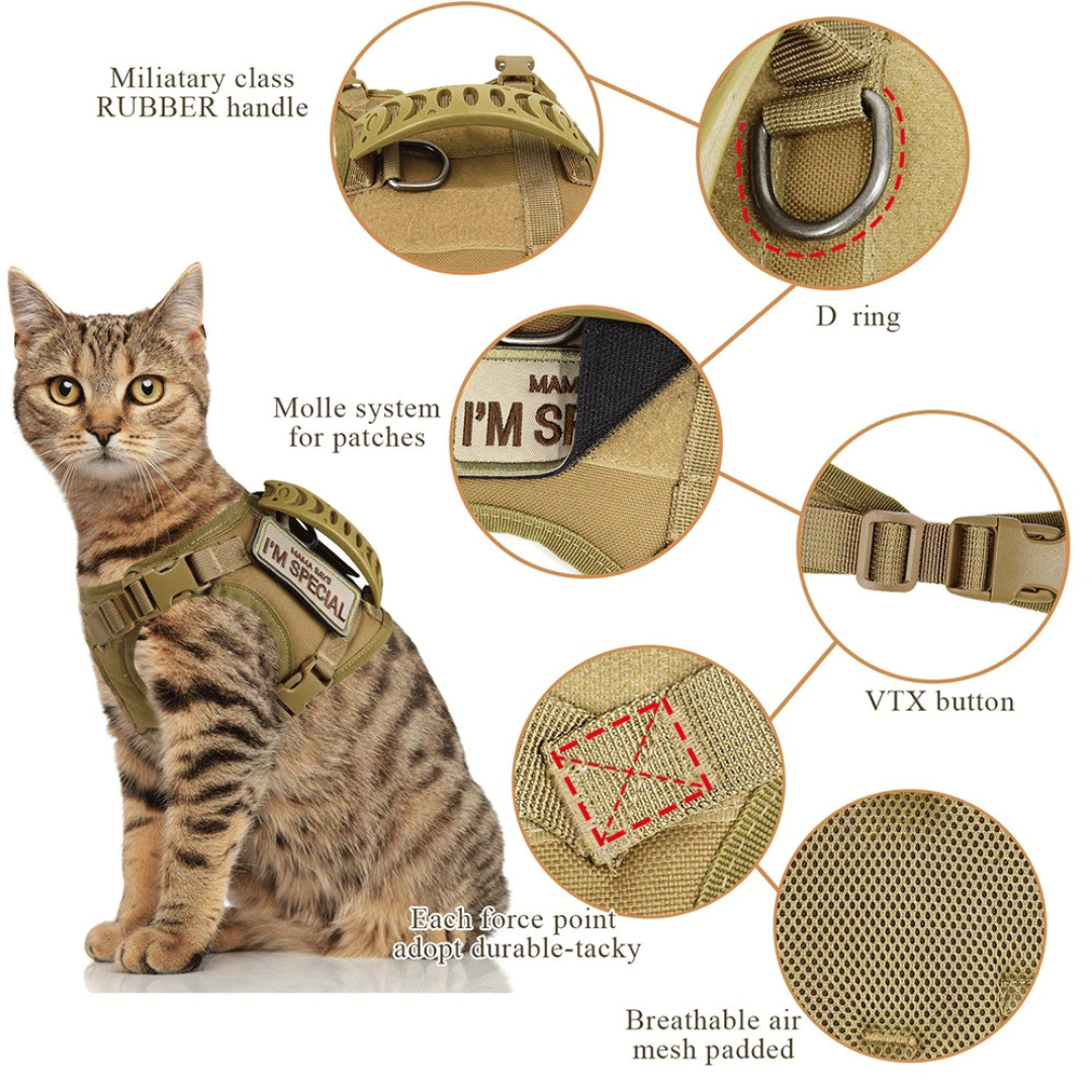 Durable Cat Vest And Leash Set
