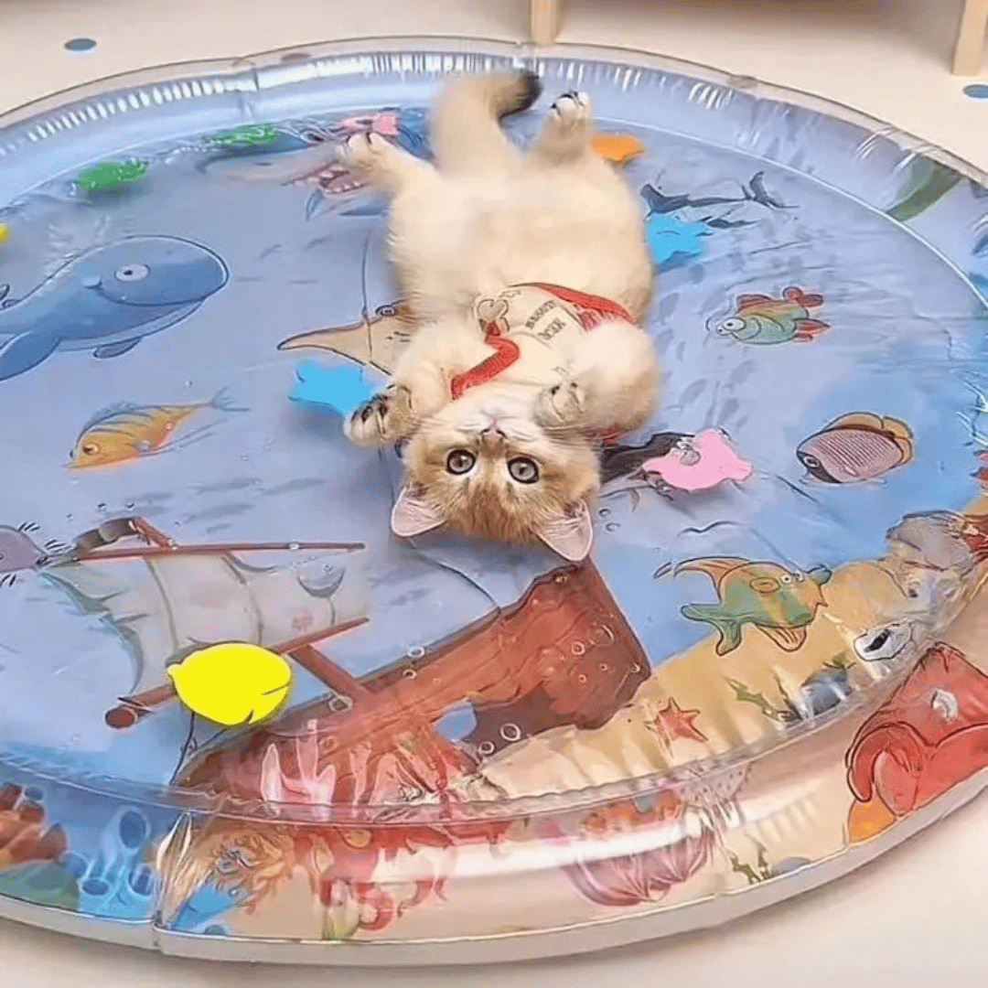 Inflatable Pet Water Bed Mat Soft