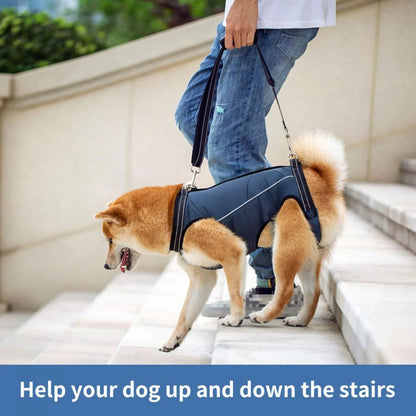 Support Harness For Senior Dogs Comfortable