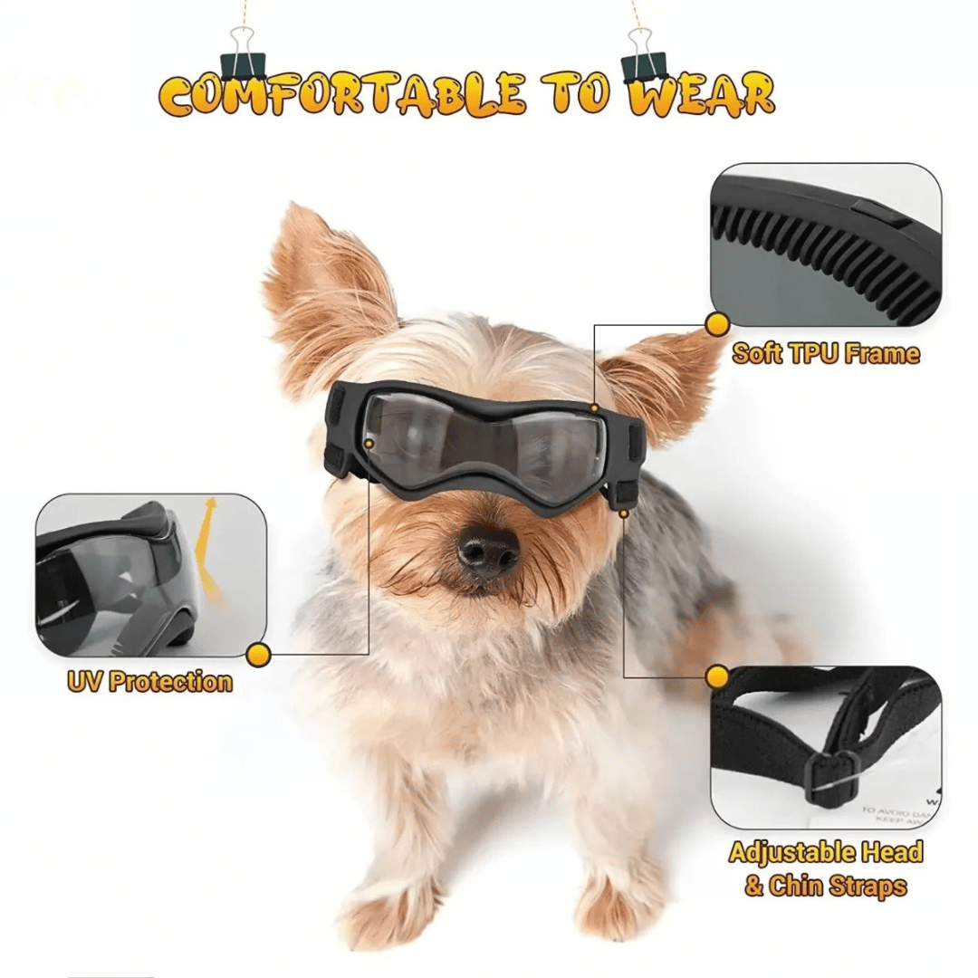 Dog Sunglasses Small Breed Eye Protection