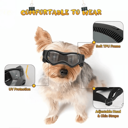 Dog Sunglasses Small Breed Eye Protection
