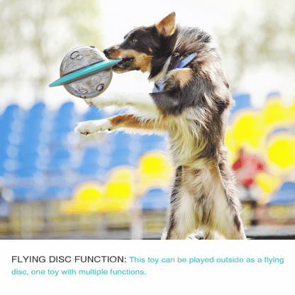Interactive Dog Toy Slow Feeder Puzzle