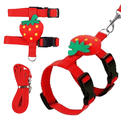Bunny Harness Leash Set Comfortable