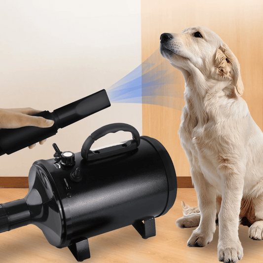 Pet Dryer Adjustable Heat Interchangeable Tips - Pupporia