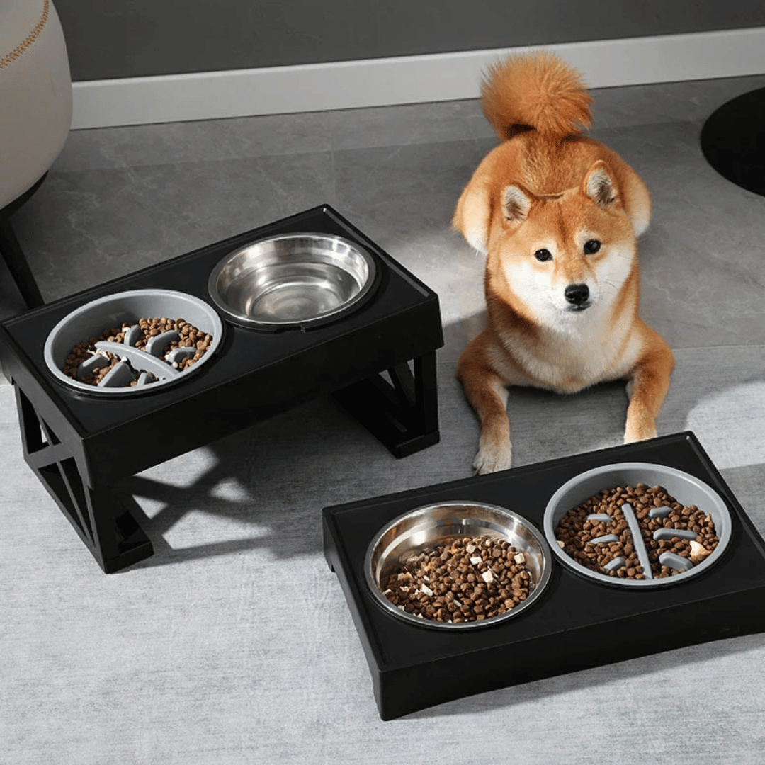 Adjustable Elevated Dog Feeder Stainless Steel Bowls