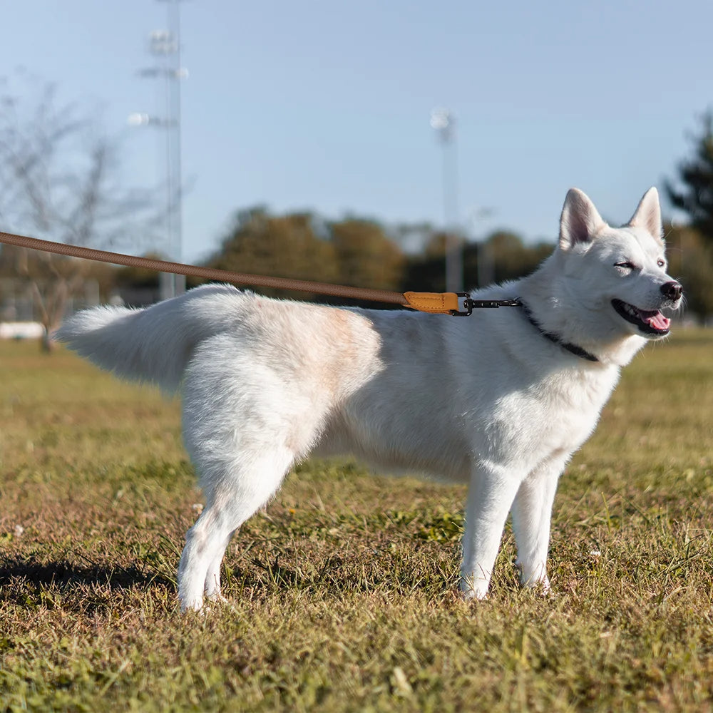Adjustable Running Dog Leash Strap