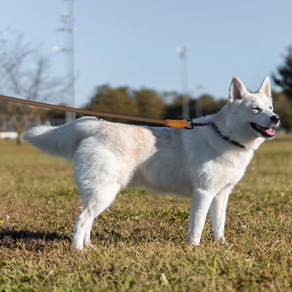 Adjustable Running Dog Leash Strap