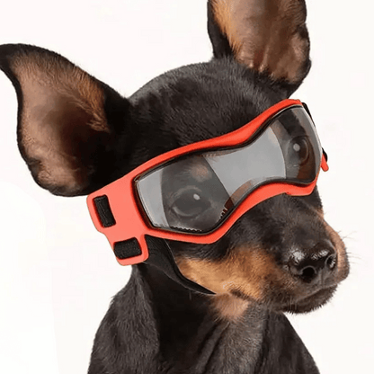Dog Sunglasses Small Breed Eye Protection