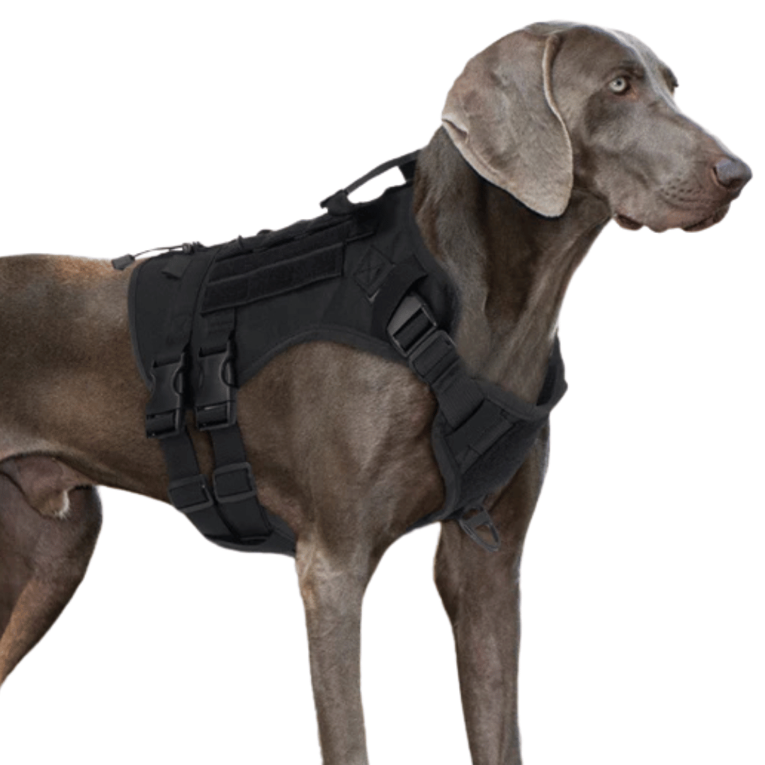 Large Breed Dog Vest With Handle Heavy Duty