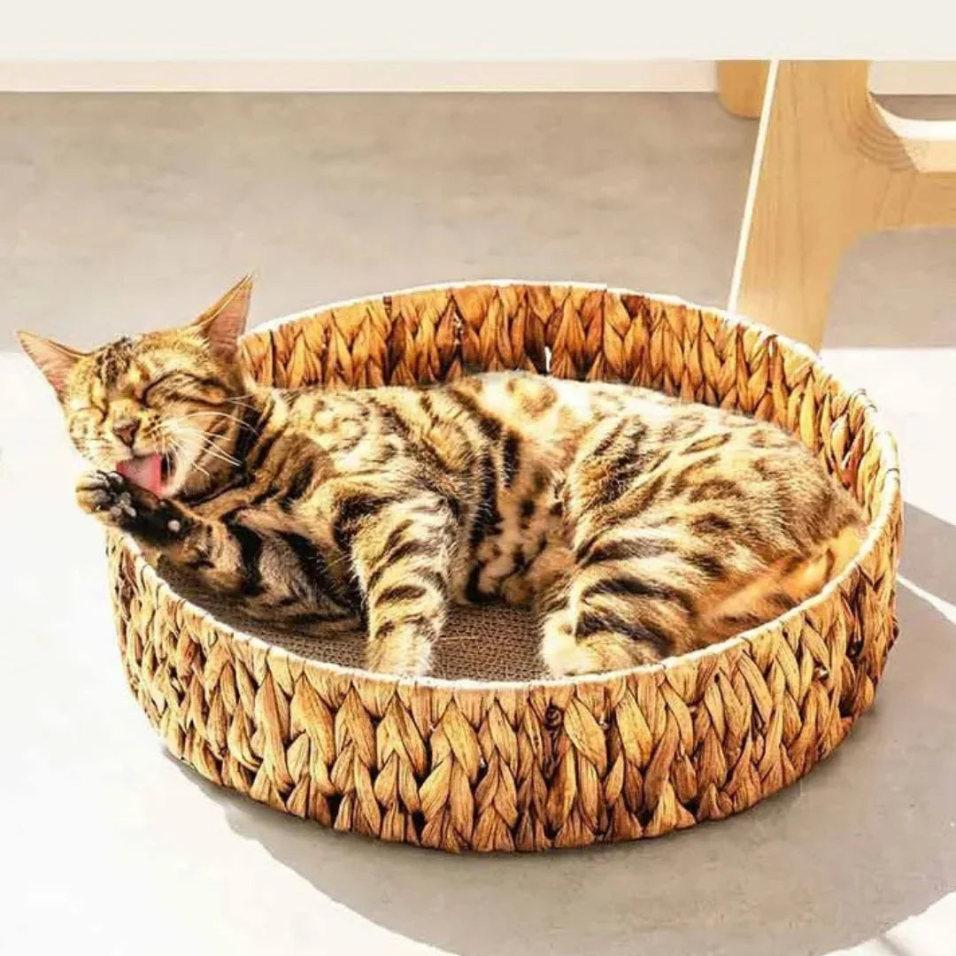 WillowDream Wicker Cat Bed Natural Fiber