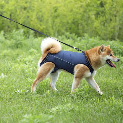 Support Harness For Senior Dogs Comfortable