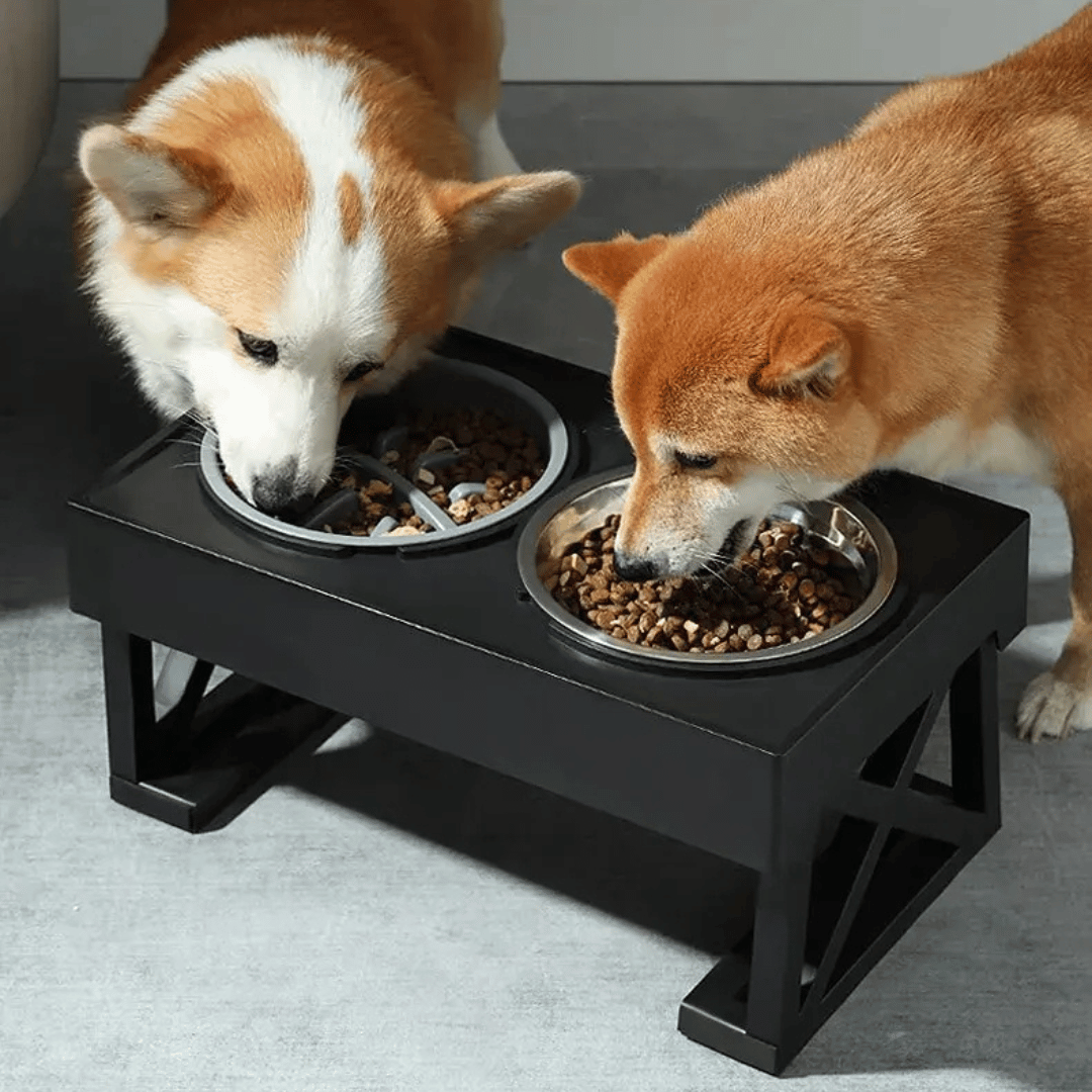 Adjustable Elevated Dog Feeder Stainless Steel Bowls
