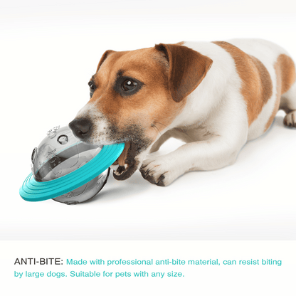 Interactive Dog Toy Slow Feeder Puzzle
