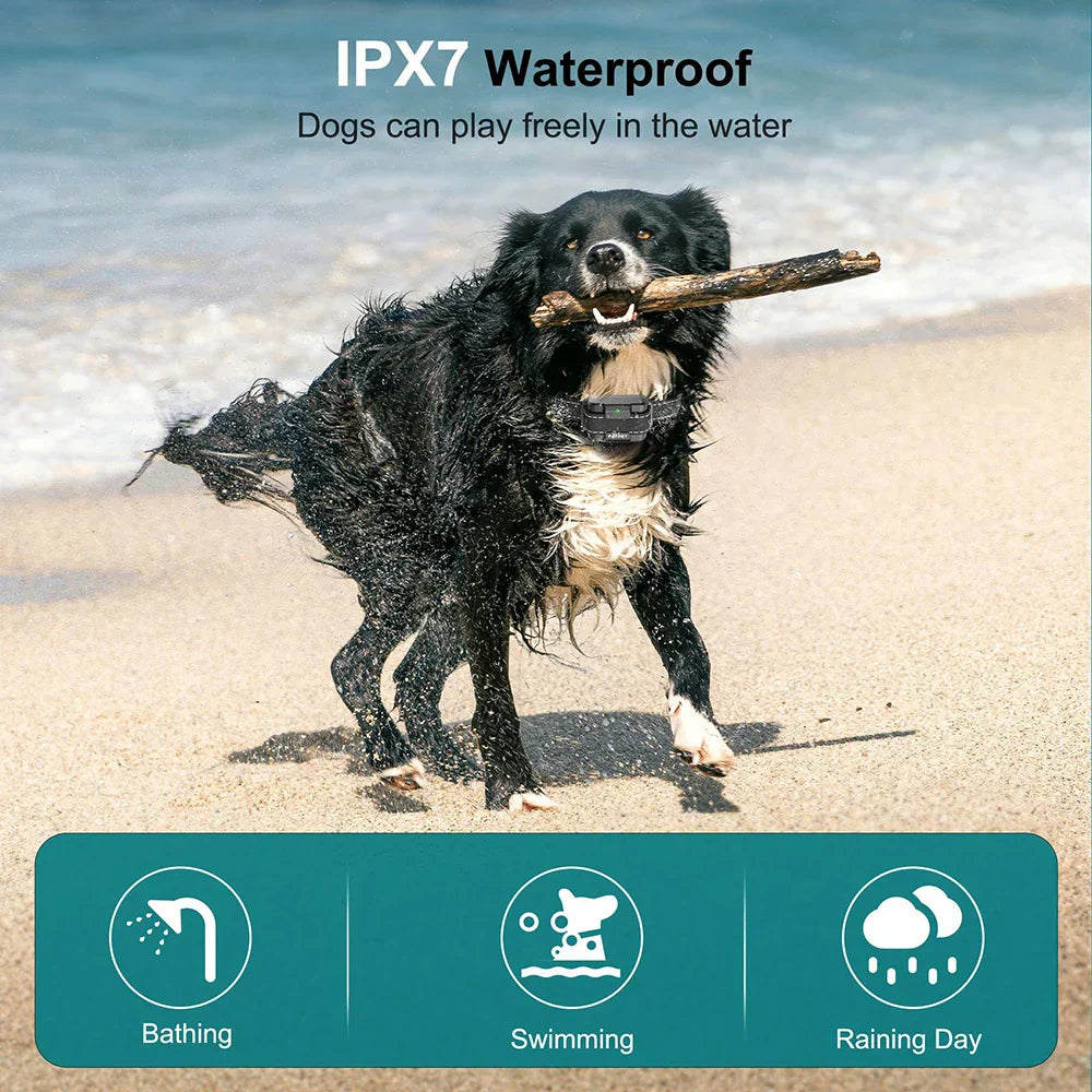 Waterproof Dog Training Collar Long Range System