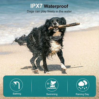 Waterproof Dog Training Collar Long Range System