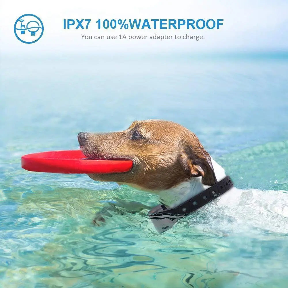 Rechargeable Waterproof Dog Training Collar