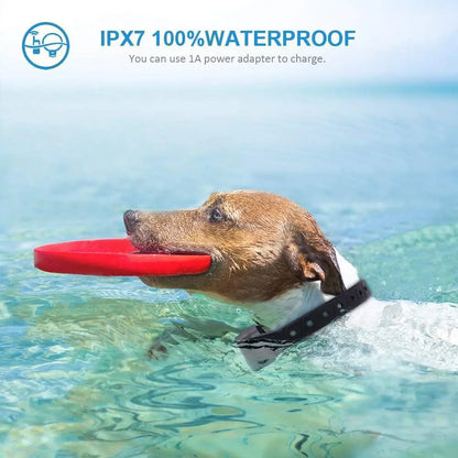 Rechargeable Waterproof Dog Training Collar