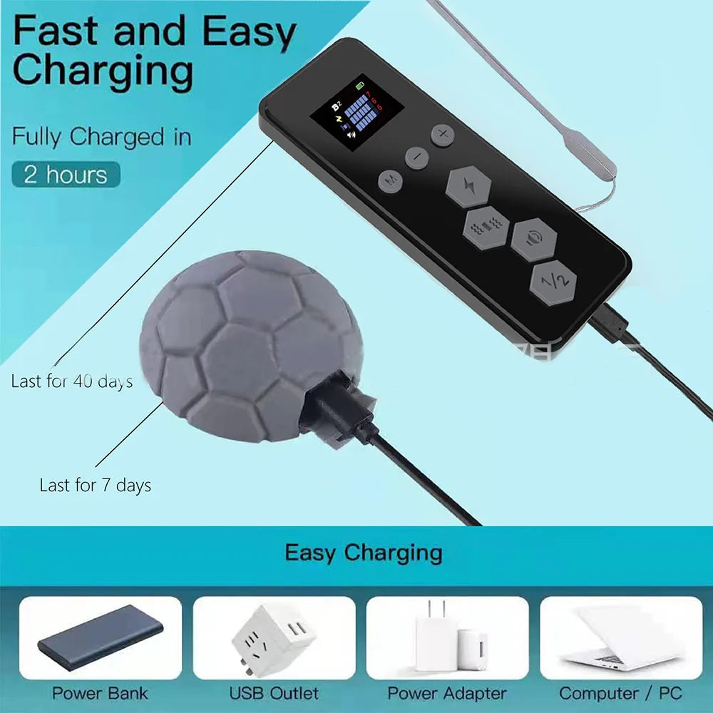 Remote Control Dog Training Collar