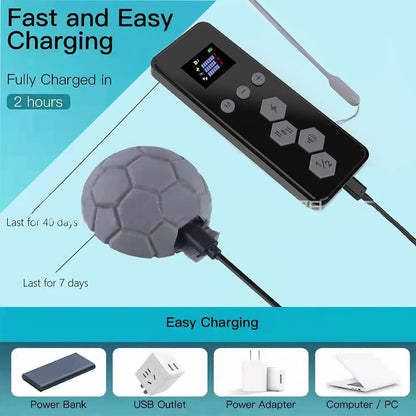 Remote Control Dog Training Collar