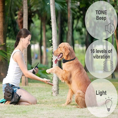 Rechargeable Waterproof Dog Training Collar