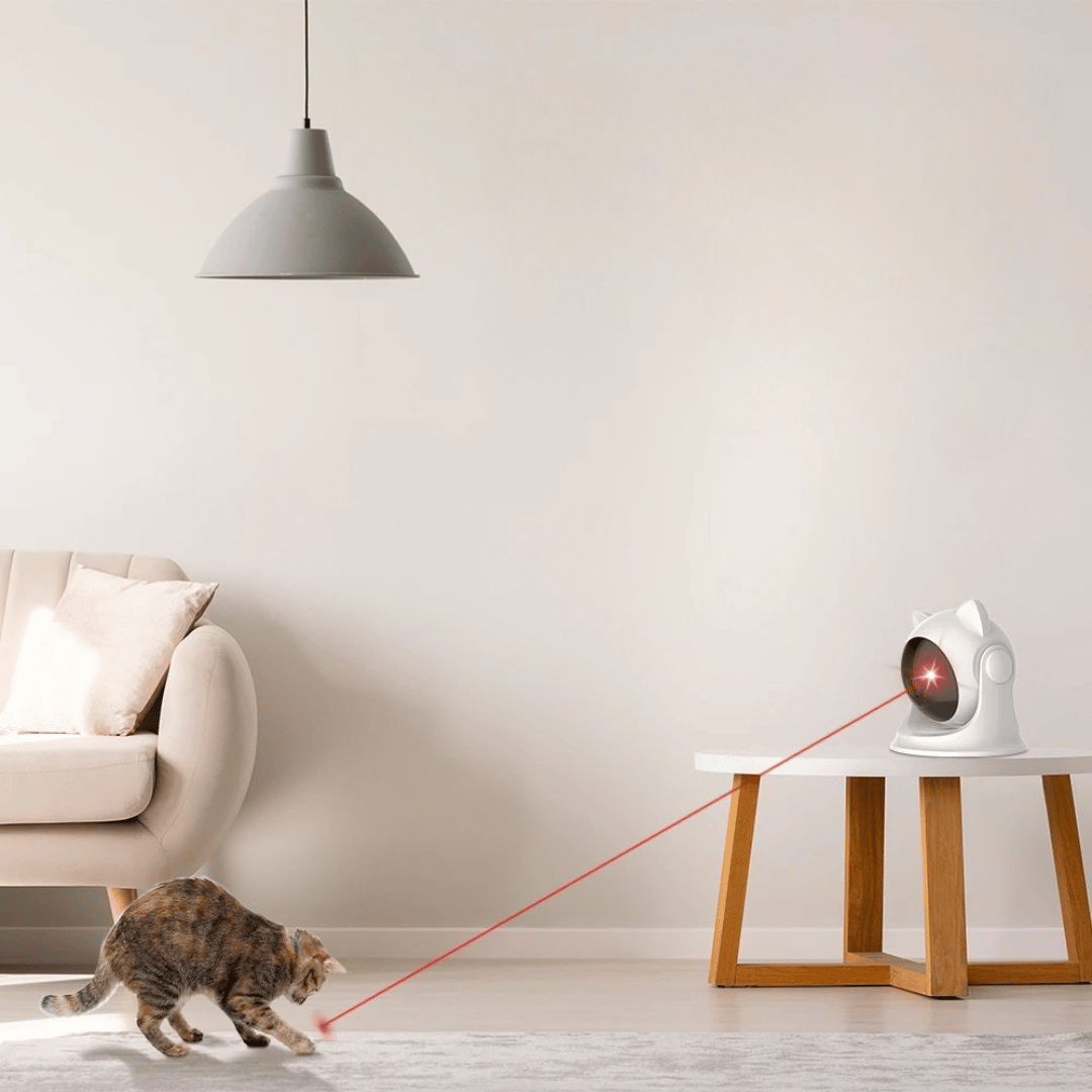 Interactive Laser Pet Toy