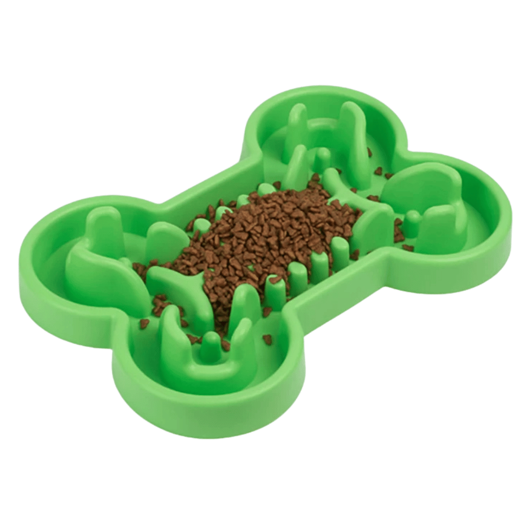 Slow Feed Non Slip Dog Bowl
