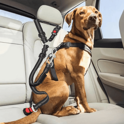 Pet Car Safety Harness