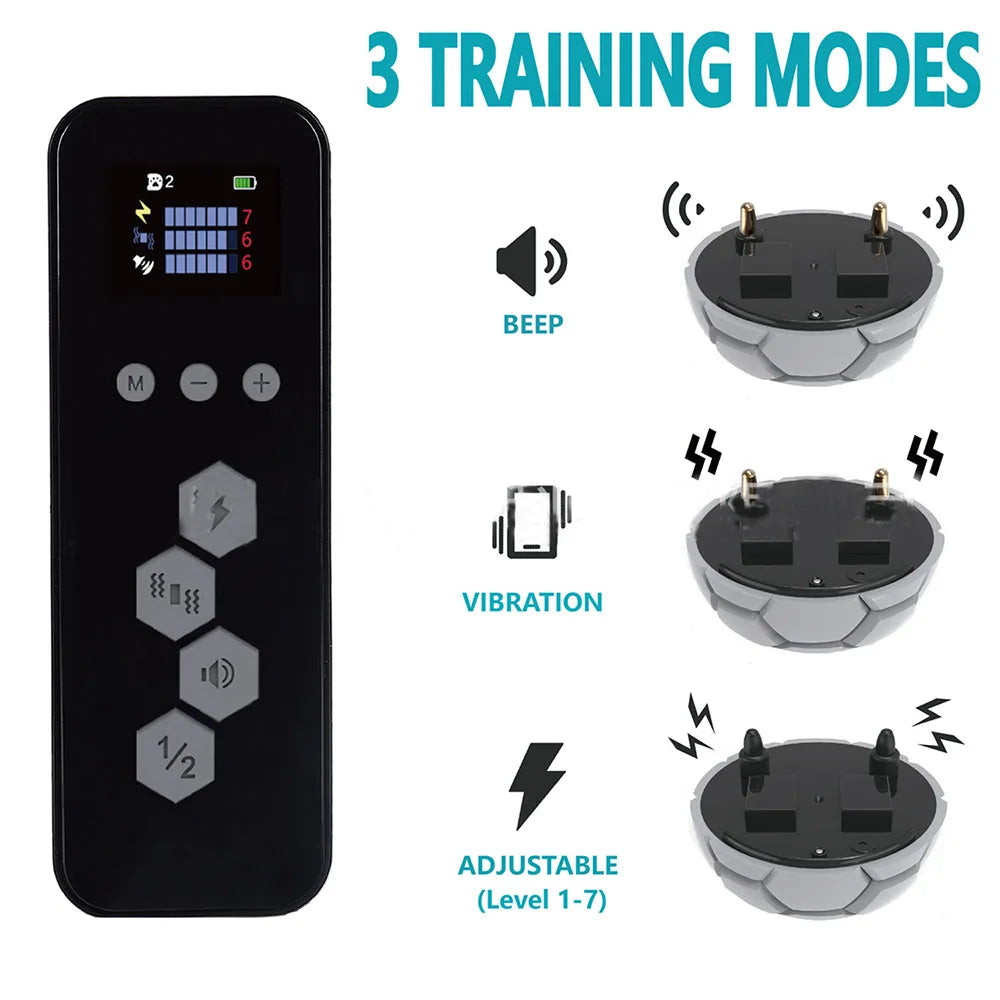 Remote Control Dog Training Collar