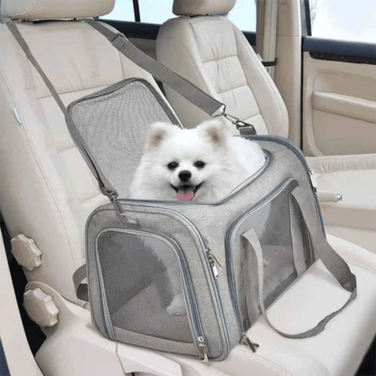 Small Dog Travel Carrier Crate