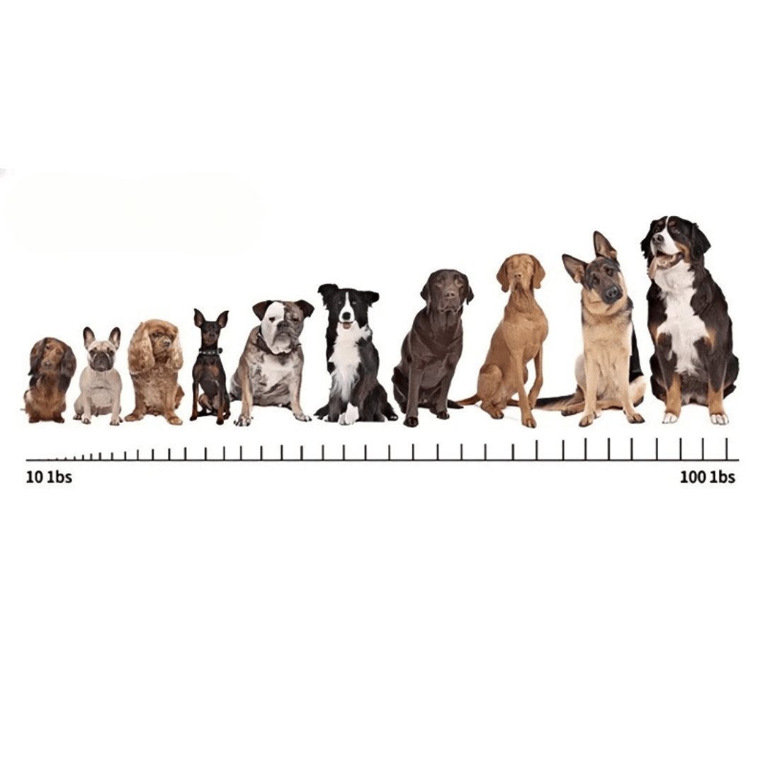 Anti-Bark Collar | Rechargeable Digital Dog Bark Stopper 5