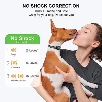 Bark Control Smart Collar - Rust for Your Dog 2