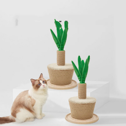 Cat Climbing Playground - Pupporia