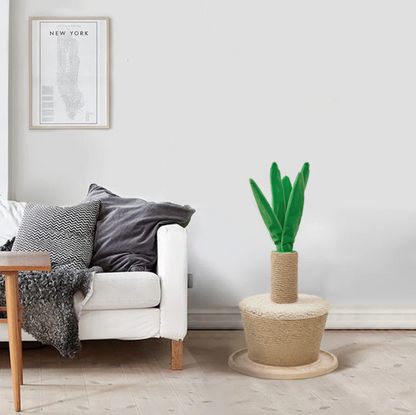 Cat Climbing Playground