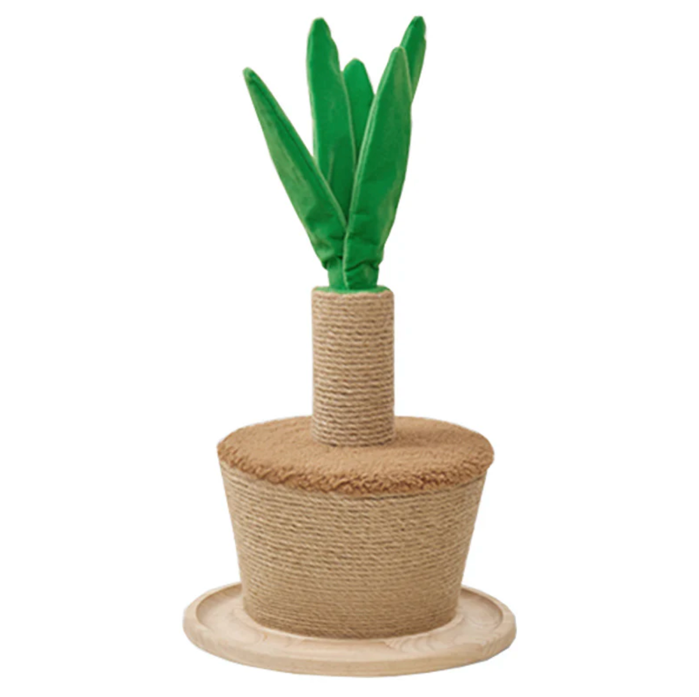 Cat Climbing Playground