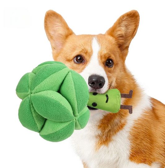 Interactive Broccoli Dog Treat Toy - Pupporia