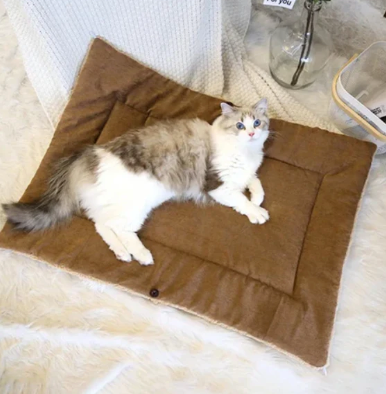 Ultra Plush Cat Bed Soft Cloud Comfort