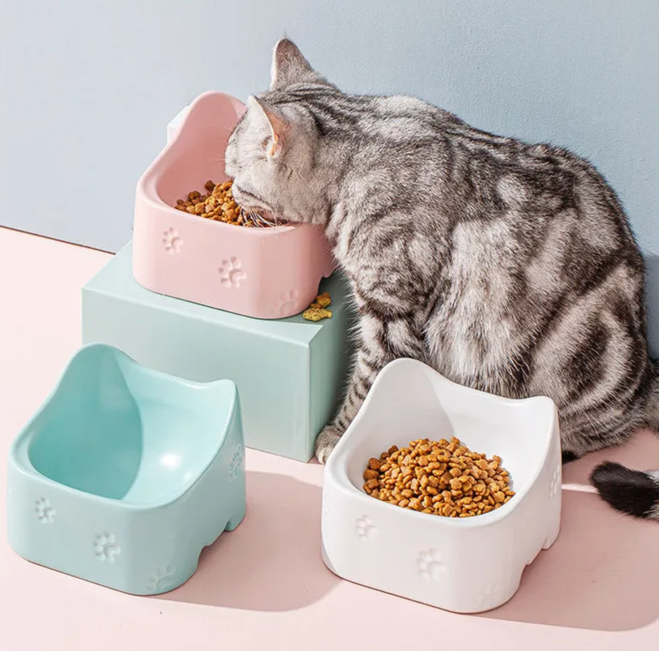 ComfortBowl Cat Food Bowl - Pupporia
