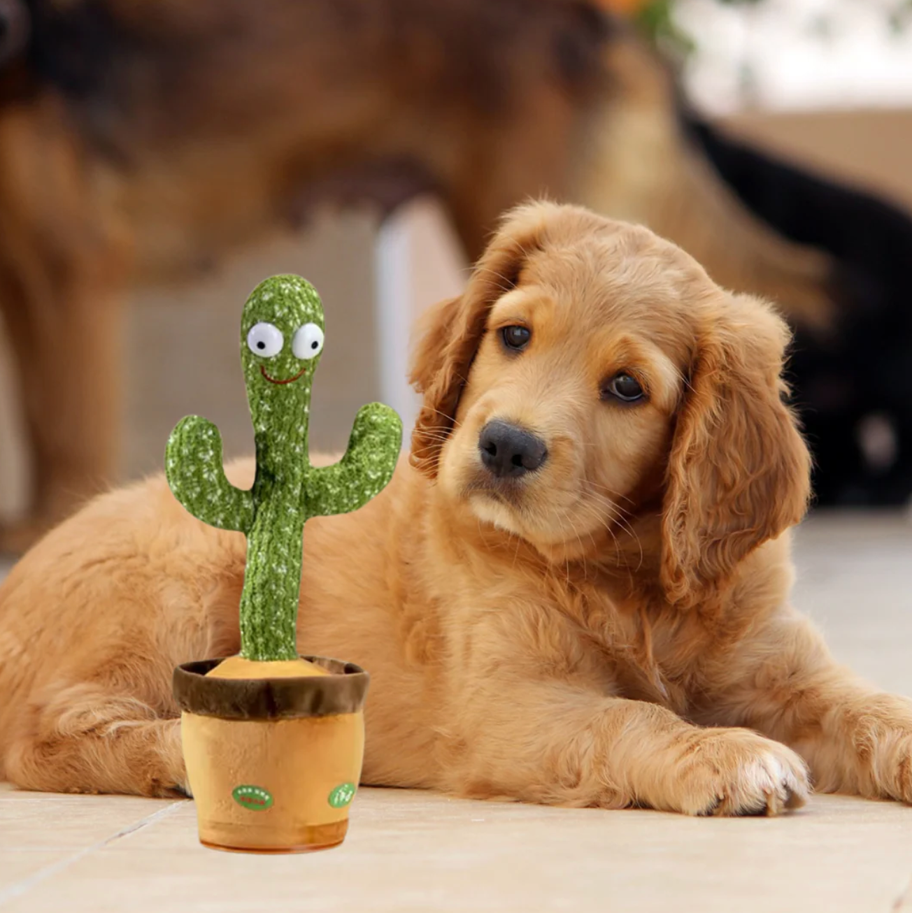 Interactive Dog Toy - Pupporia