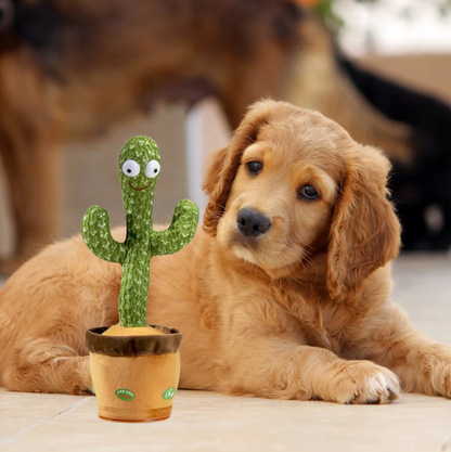 Interactive Dog Toy - Pupporia