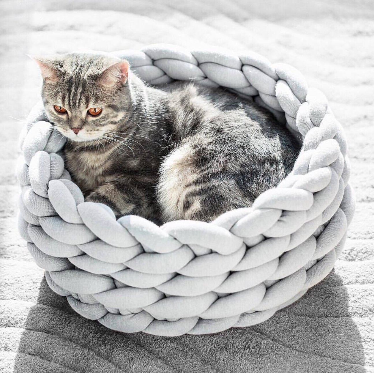 CozyWeave Woven Pet Basket - Pupporia