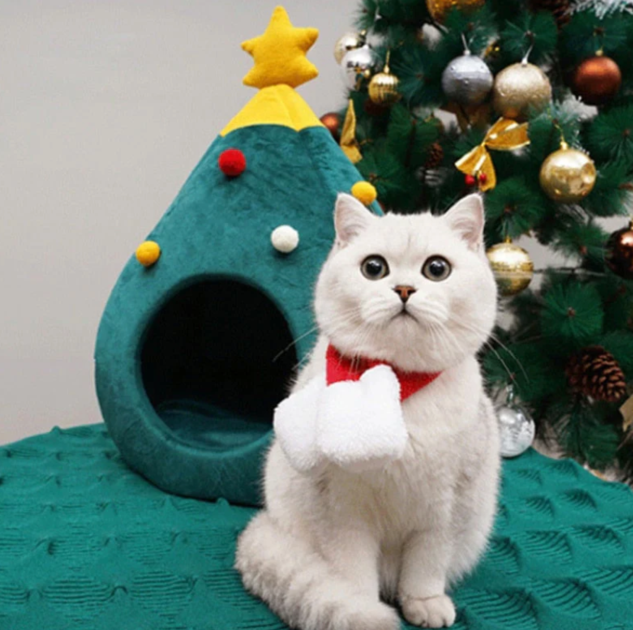 Pet Christmas Tree Bed Orthopedic Dog Cat