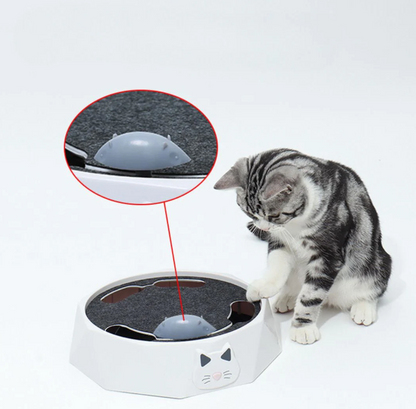 Interactive Hide And Seek Mouse Game